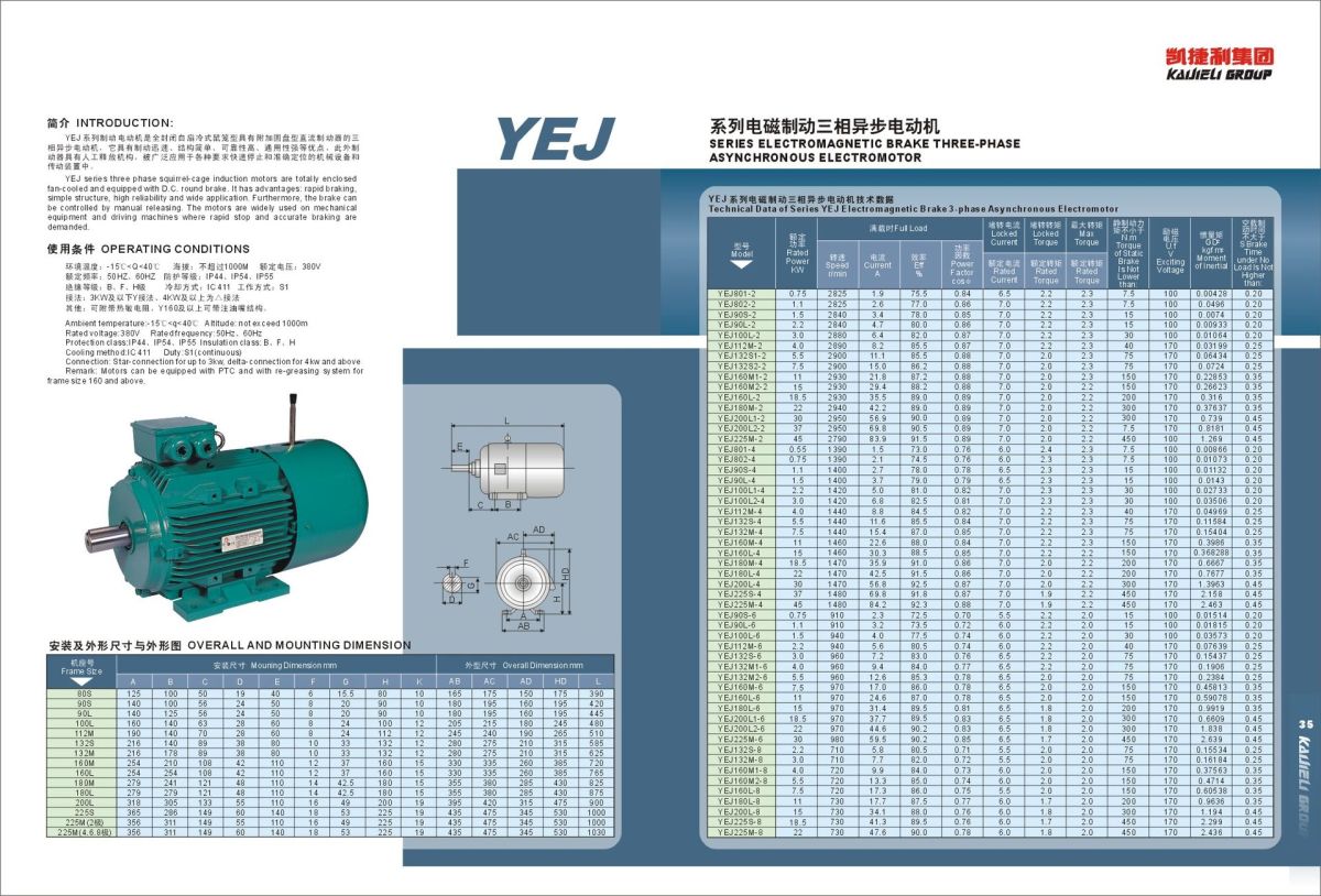 YEJ SERIES - ELECTROMAGNETIC BRAKE MOTOR