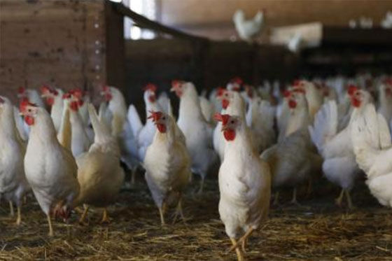 20200909154714244.jpg@!w400