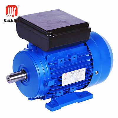 ML SERIES SINGLE-PHASE DUAL-VALUE CAPACITOR ALUMINUM SHELL MOTOR