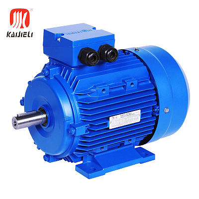 MS SERIES ALUMINUM SHELL THREE-PHASE ASYNCHRONOUS MOTORS