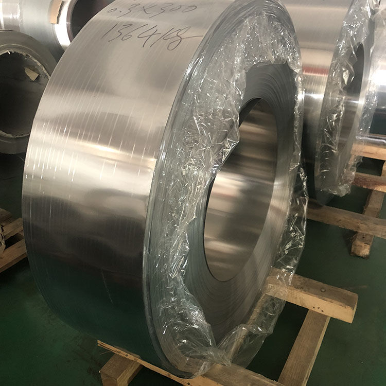 STAINLEESS STEEL STRIP