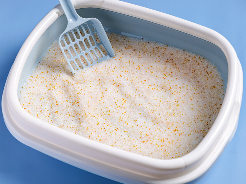 How Much Cat Litter Should You Use? How Much Cat Litter Should You Use?
