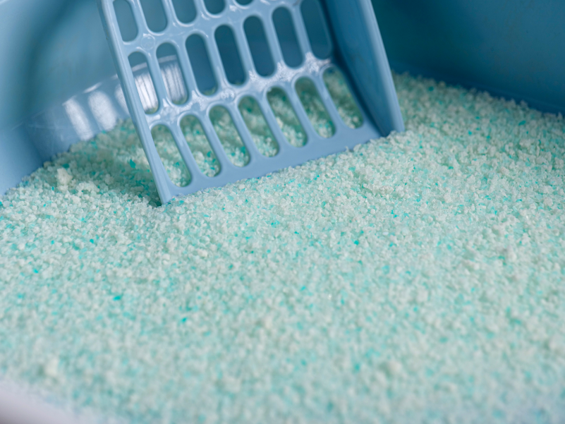 What is Cat Litter Used for?