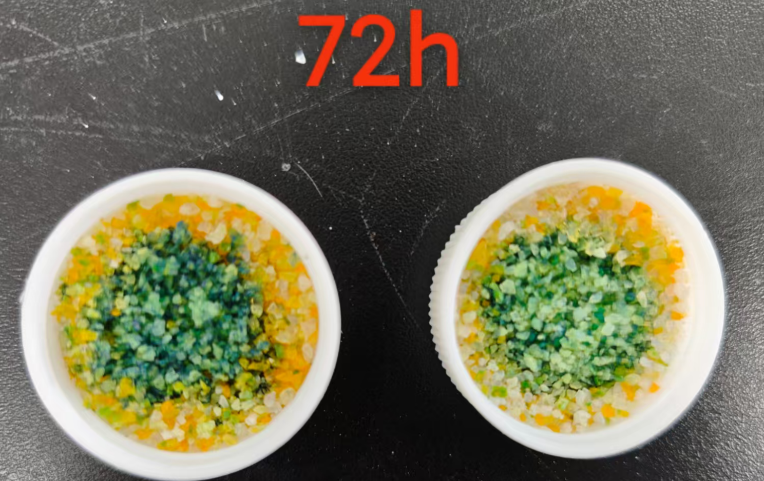 Occult blood detection cat litter