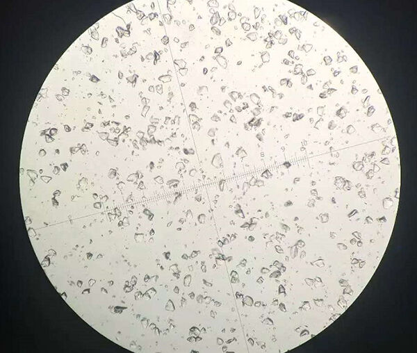 How many types of surface hydroxyl on the surface of silica?