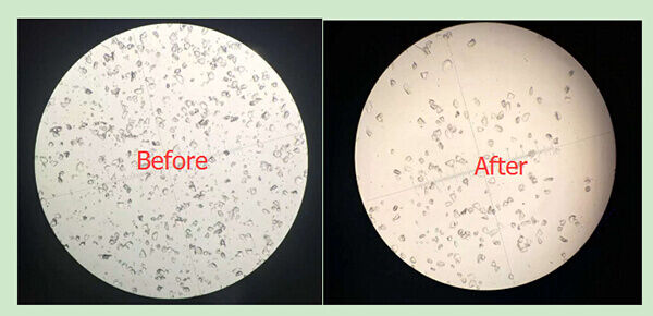 What are the common methods of Chromatography?