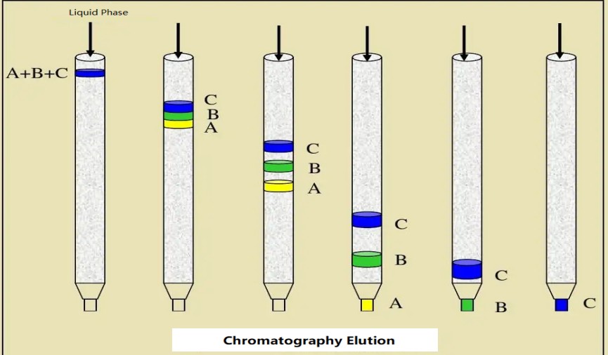 Chromatography.png
