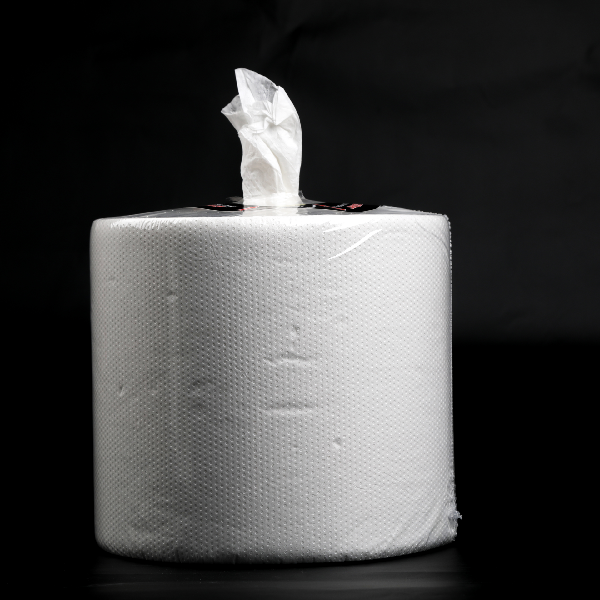 Centerpull Hand Towel