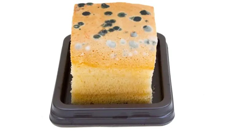Encapsulated sorbic acid and natural solutions for bakery Preservation