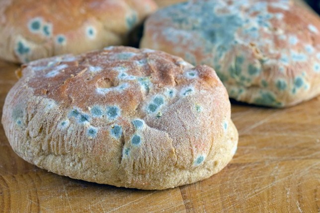 Encapsulated sorbic acid and natural solutions for bakery Preservation