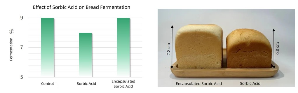 Encapsulated sorbic acid and natural solutions for bakery Preservation
