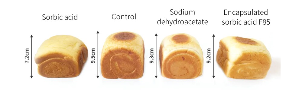 Encapsulated sorbic acid and natural solutions for bakery Preservation