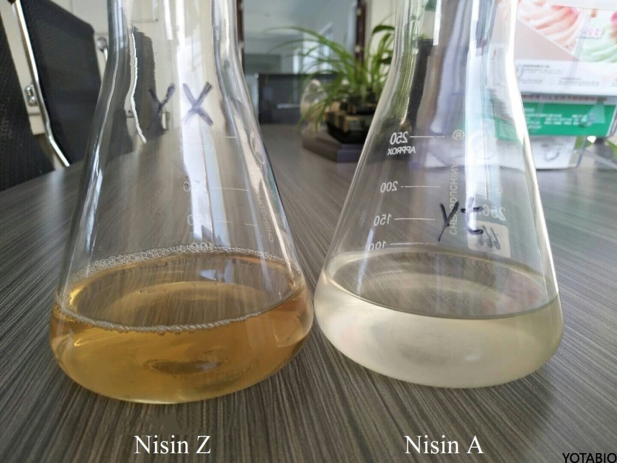 1% nisin A and Nisin z solution.jpg