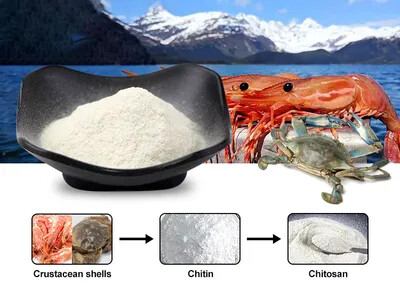 Chitosan