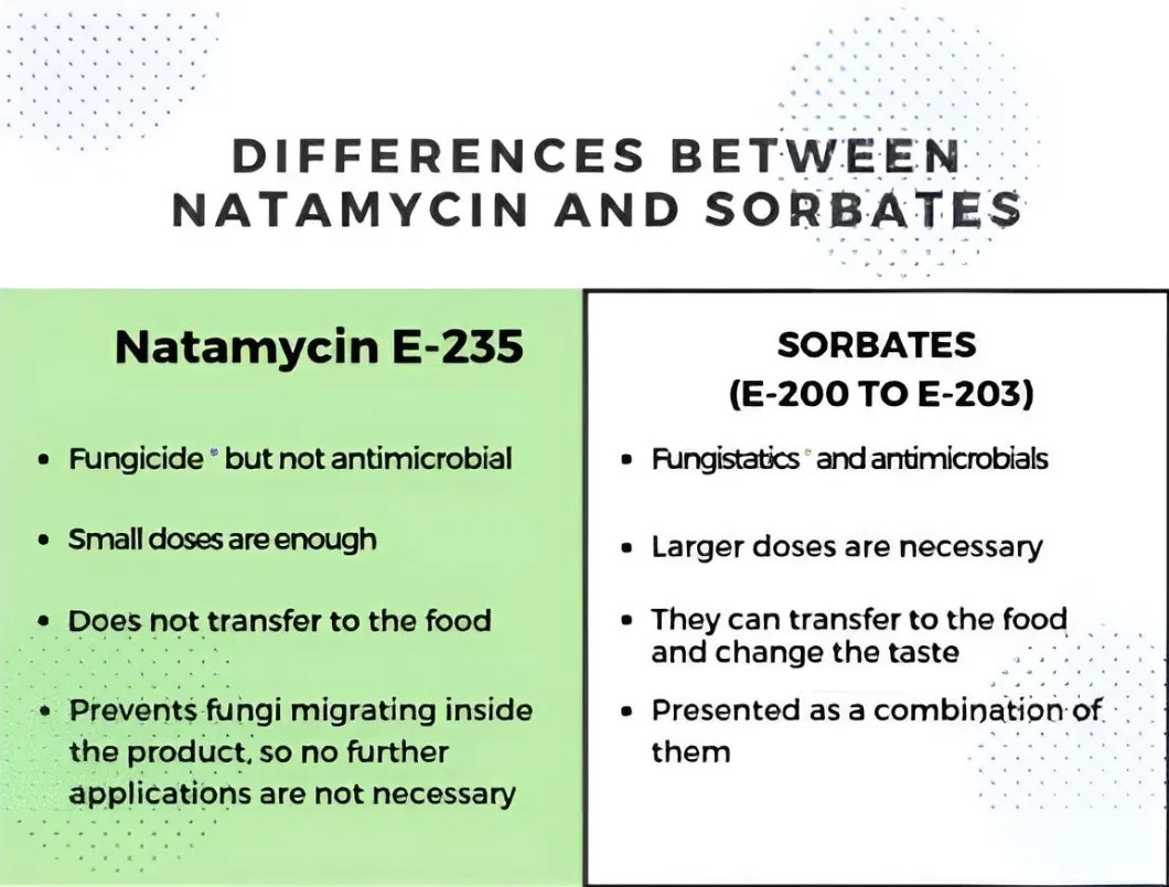 Natural Preservative Protects Cheeses From Mould and Fungi Natamycin