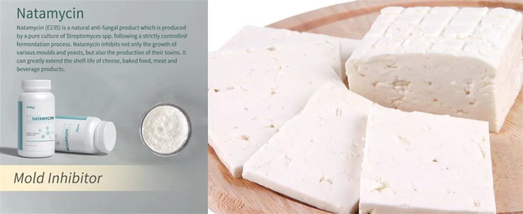 Natural Preservative Protects Cheeses From Mould and Fungi Natamycin