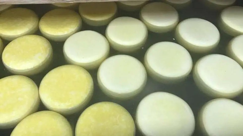 Natural Preservative Protects Cheeses From Mould and Fungi Natamycin