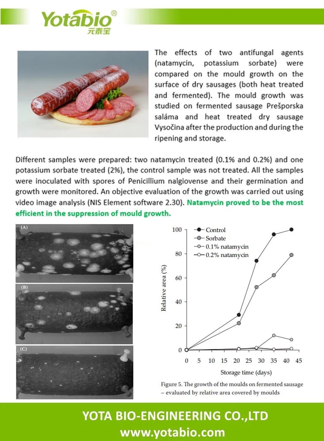 Natural Preservative Protects Cheeses From Mould and Fungi Natamycin