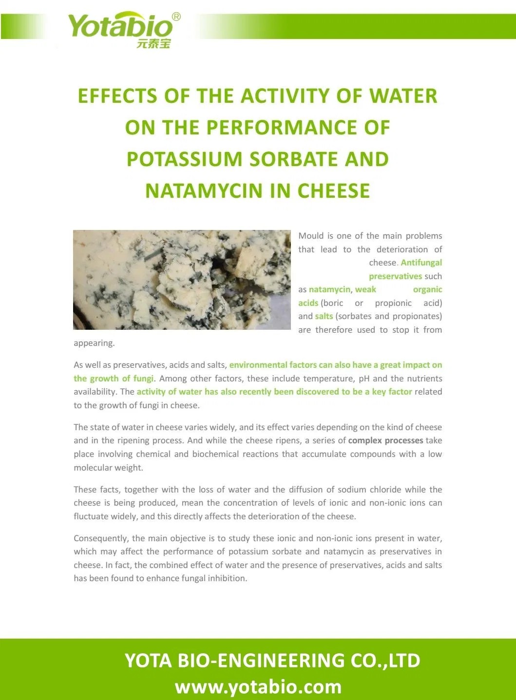Natural Preservative Protects Cheeses From Mould and Fungi Natamycin