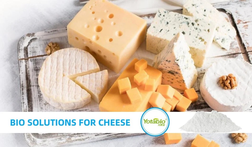 width= Yotaren 750 Coagulant Microbial Rennet for Cheese Production