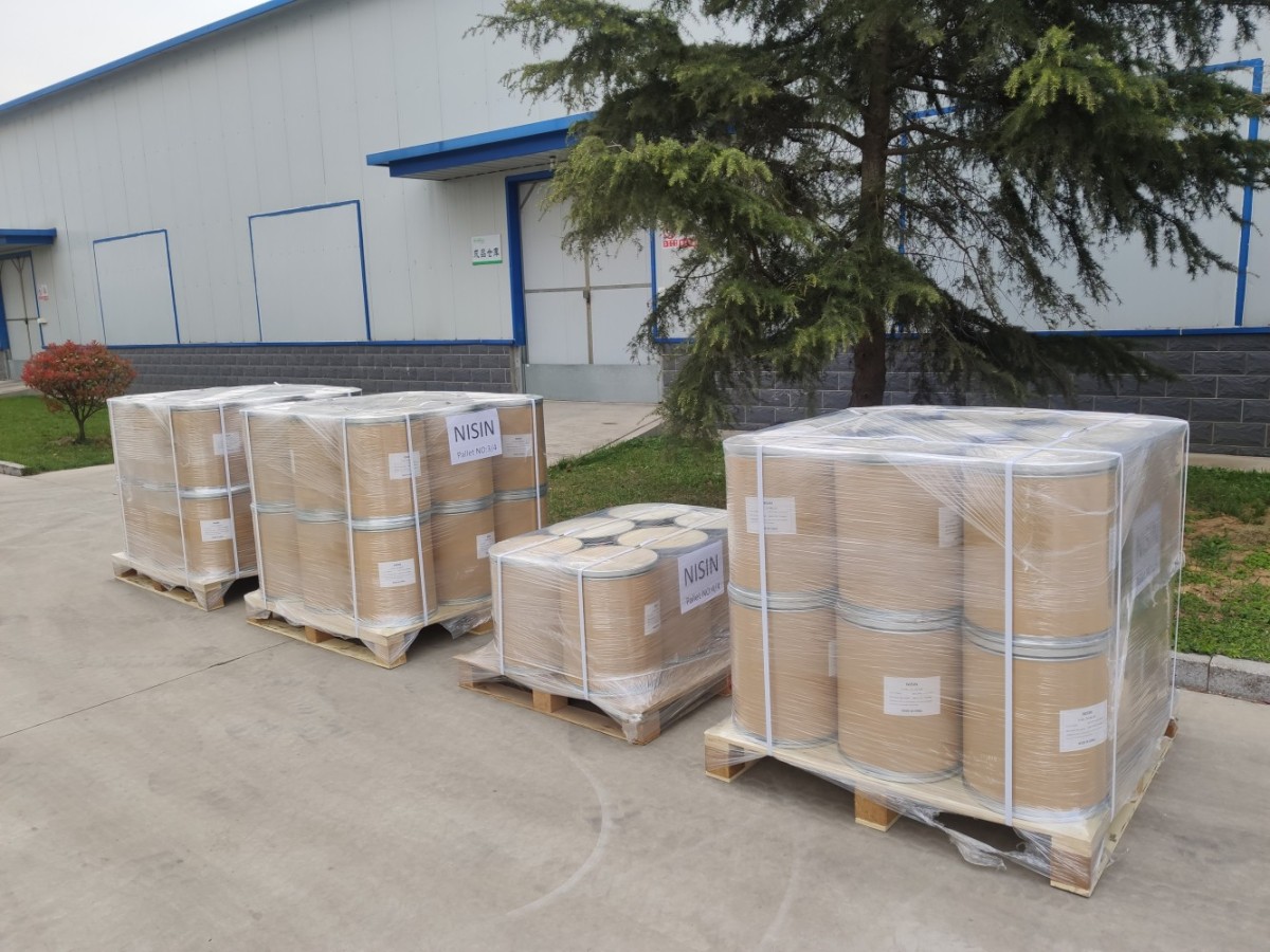 No alt text provided for this image