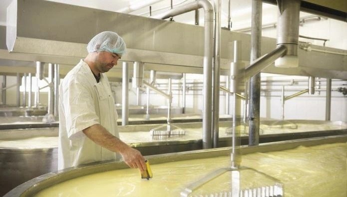 Natural Preservative Antimicrobial Late-Blowing Caused by Butyric Acid Fermentation