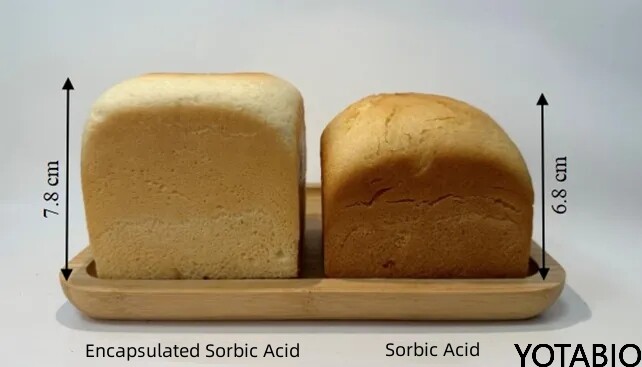 Ácido sórbico encapsulado y soluciones naturales para la conservación de productos de panadería