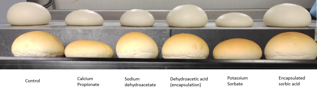 Ácido sórbico encapsulado y soluciones naturales para la conservación de productos de panadería