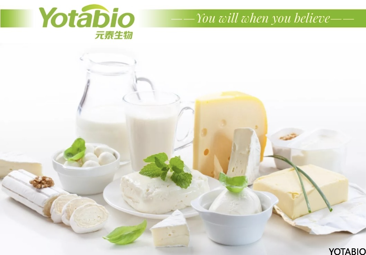 Retos de textura y conservación en la producción de queso blanco en salmuera