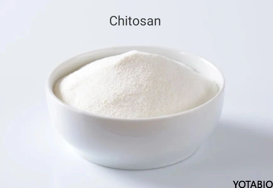 El uso de quitosano en alimentos, postcosecha, materiales de biopelícula y revestimientos