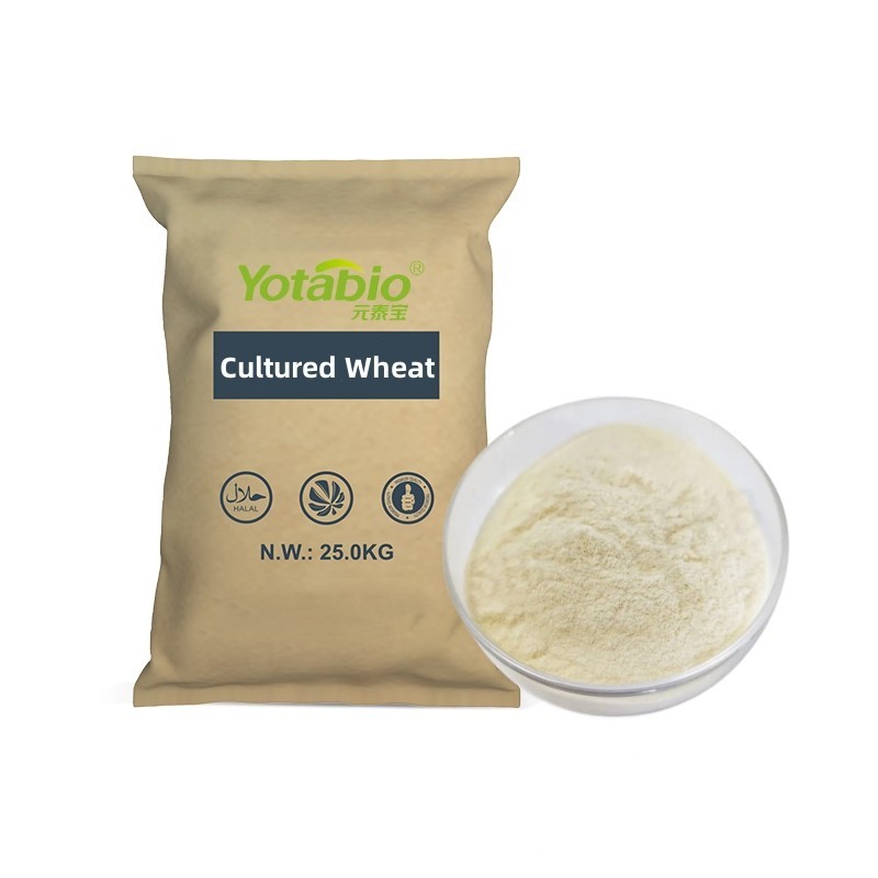 1736302173621?e=1741824000&v=beta&t=14I7H15jtR5R_ip1PraWVzdRxKdI2YRVT9UbaGPzVQQ 1736302173621?e=1741824000&v=beta&t=14I7H15jtR5R_ip1PraWVzdRxKdI2YRVT9UbaGPzVQQ