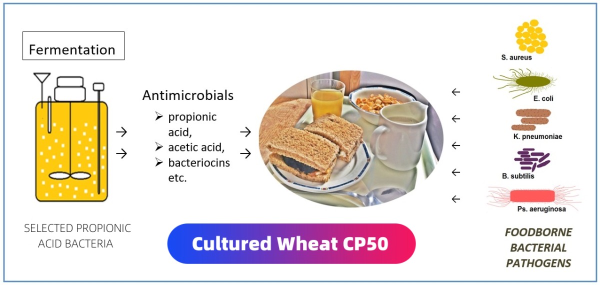 1736301825142?e=1741824000&v=beta&t=fkGlfw_7h45xhkWw6coZAVH1MCU7hlmXd3E12FNz58w 1736301825142?e=1741824000&v=beta&t=fkGlfw_7h45xhkWw6coZAVH1MCU7hlmXd3E12FNz58w