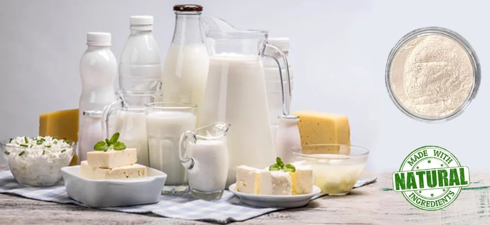 Natural Preservatives Cheese Antimicrobial E234 1000IU/mg Nisin