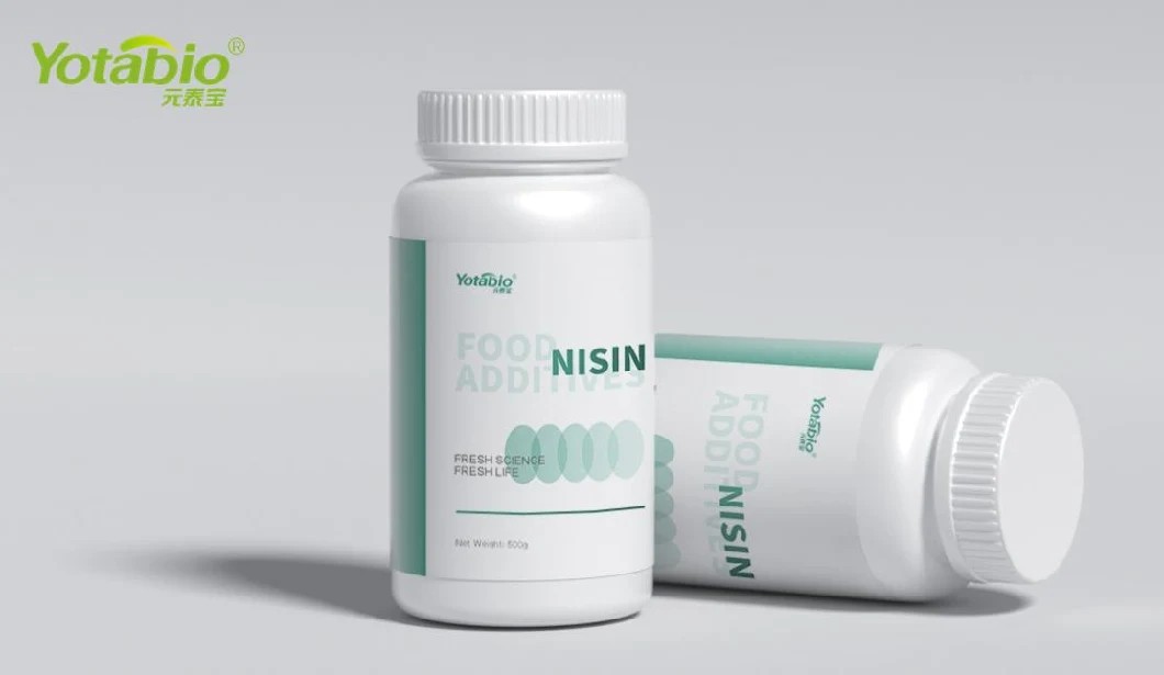 Natural Preservatives Cheese Antimicrobial E234 1000IU/mg Nisin