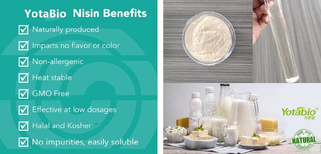 Natural Preservatives Cheese Antimicrobial E234 1000IU/mg Nisin