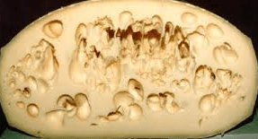 Late swelling of cheeses: how, why, what affects?