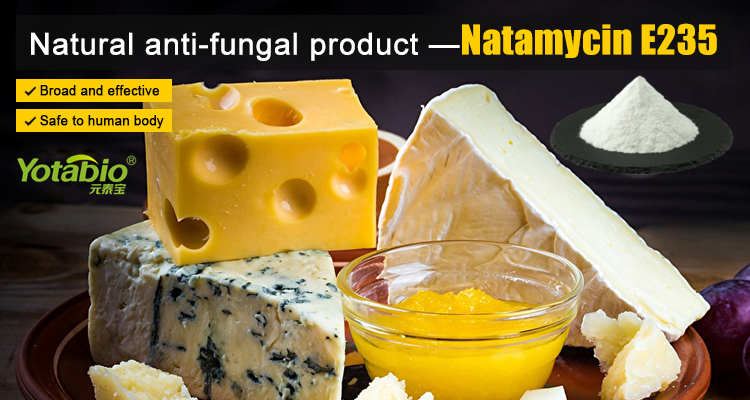Natamicina: un conservante natural para aplicaciones alimentarias