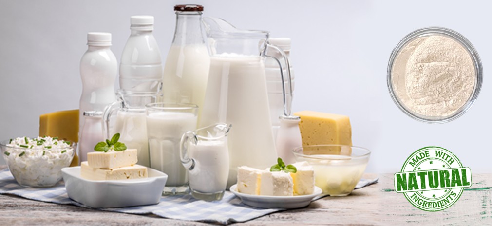 No alt text provided for this image