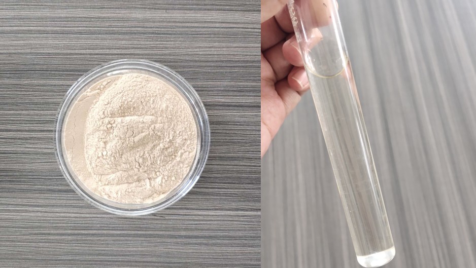 No alt text provided for this image