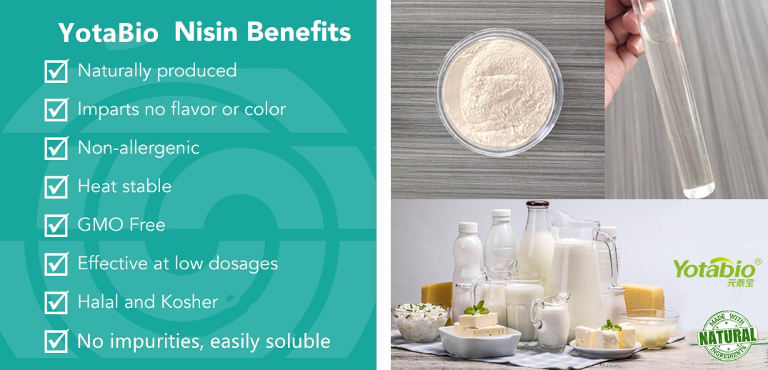 nisin benefits Yotabio_副本.png