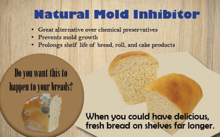 Natural-Mold-Inhibitor-1.jpg