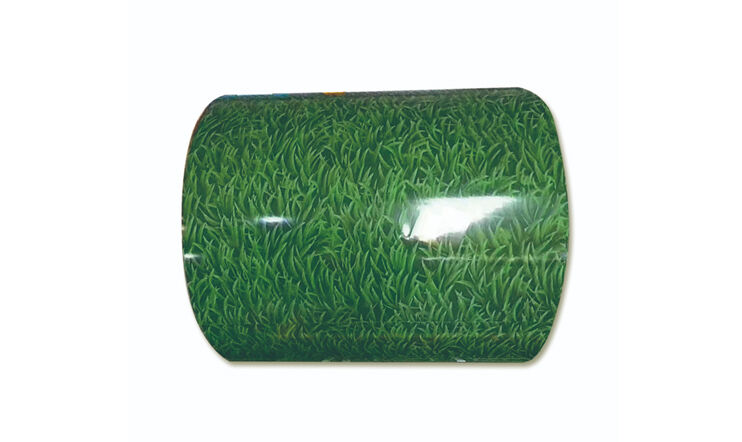 Color steel coil