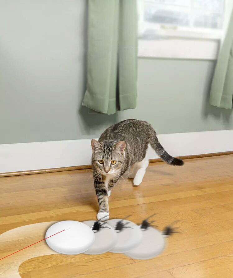 Moving Laser Toy WPE1905