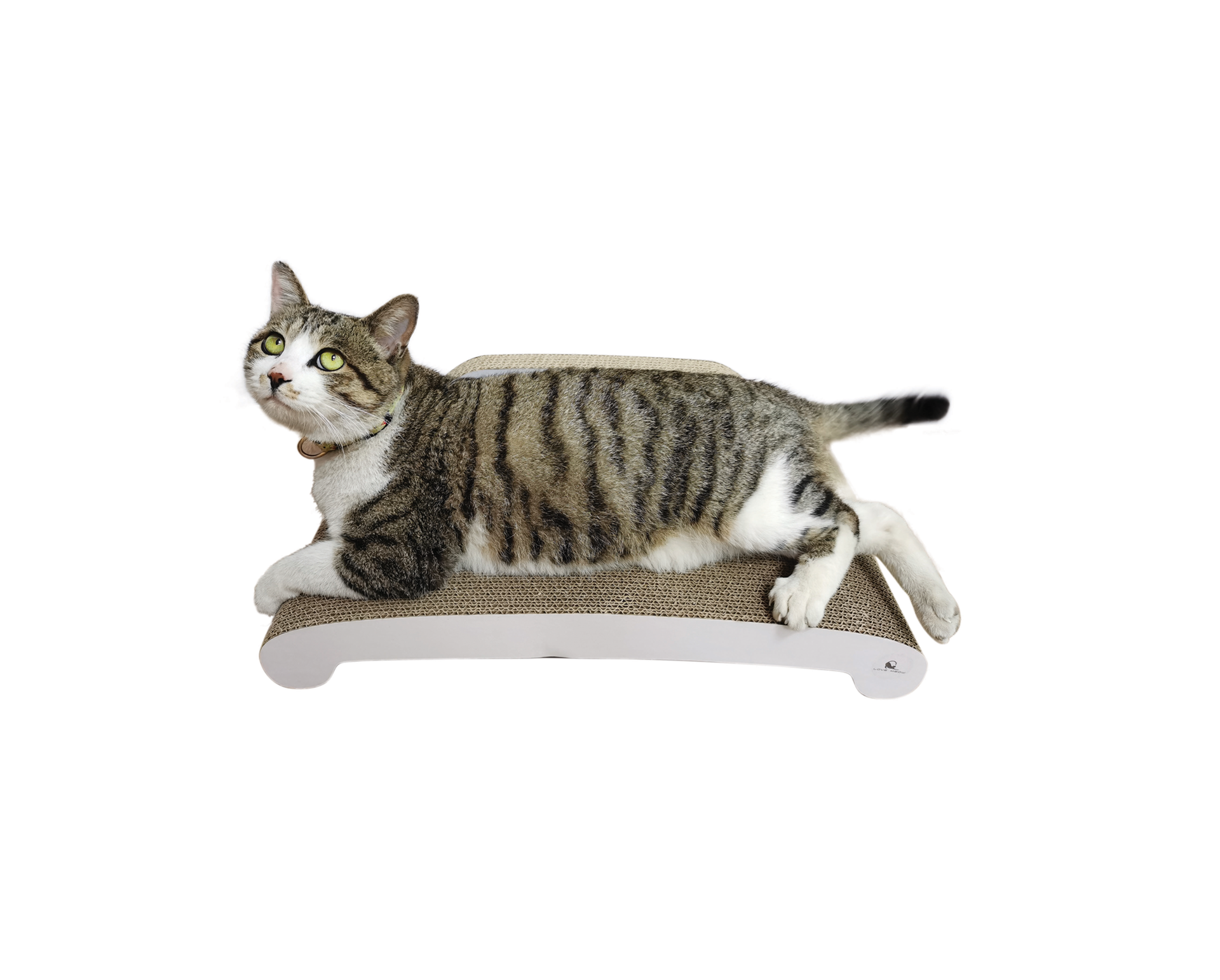 Backrest Sofa Cardboard Cat Scratcher WPM 2001