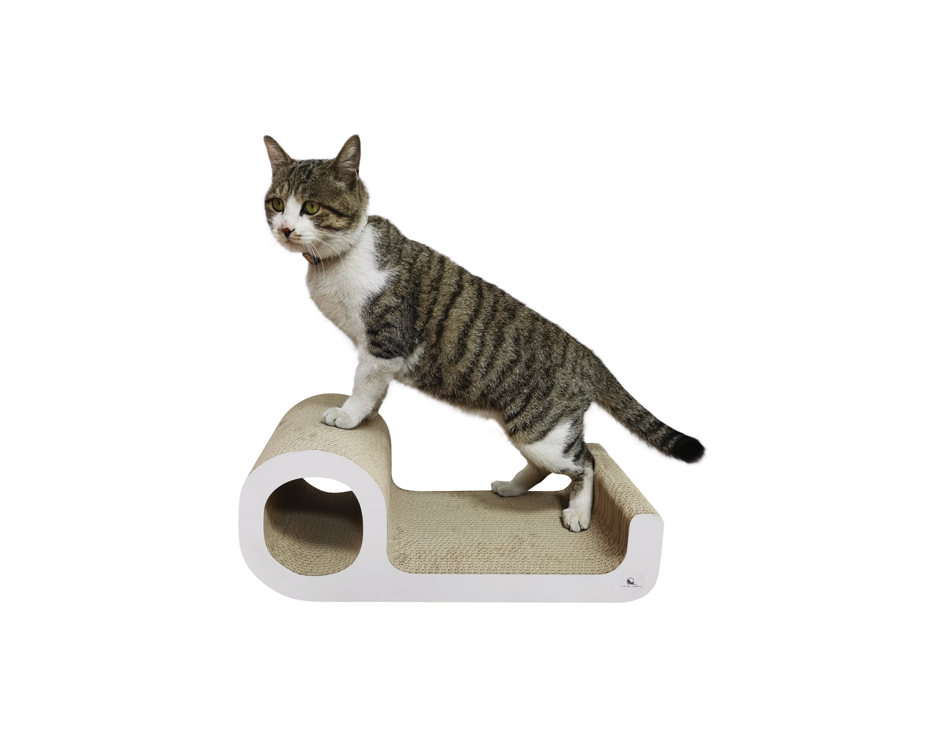 Nine Shape Cardboard Cat Scratcher WPM 1008