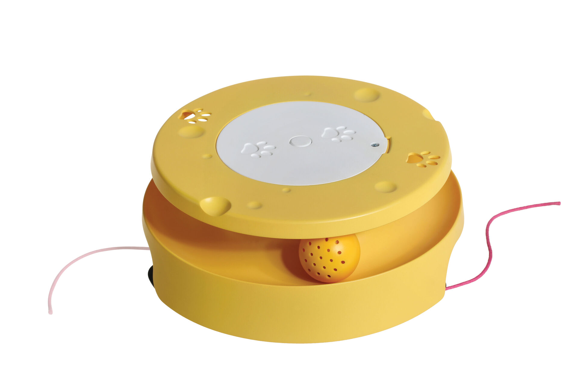 Mouse Tail Mystery WPE 2106