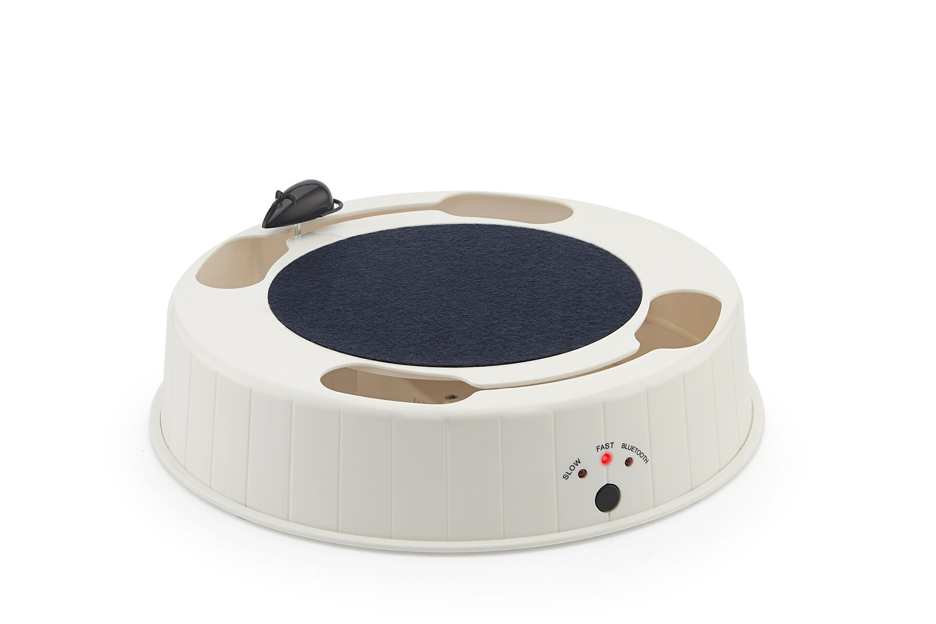 Cake Hollow Mouse WPE1801