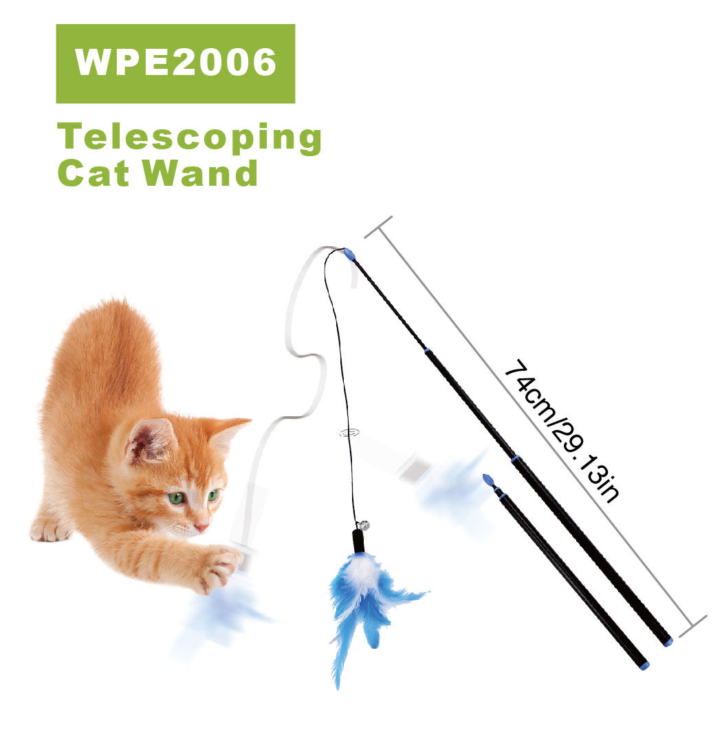 Telescoping Cat Wand WPE 2006