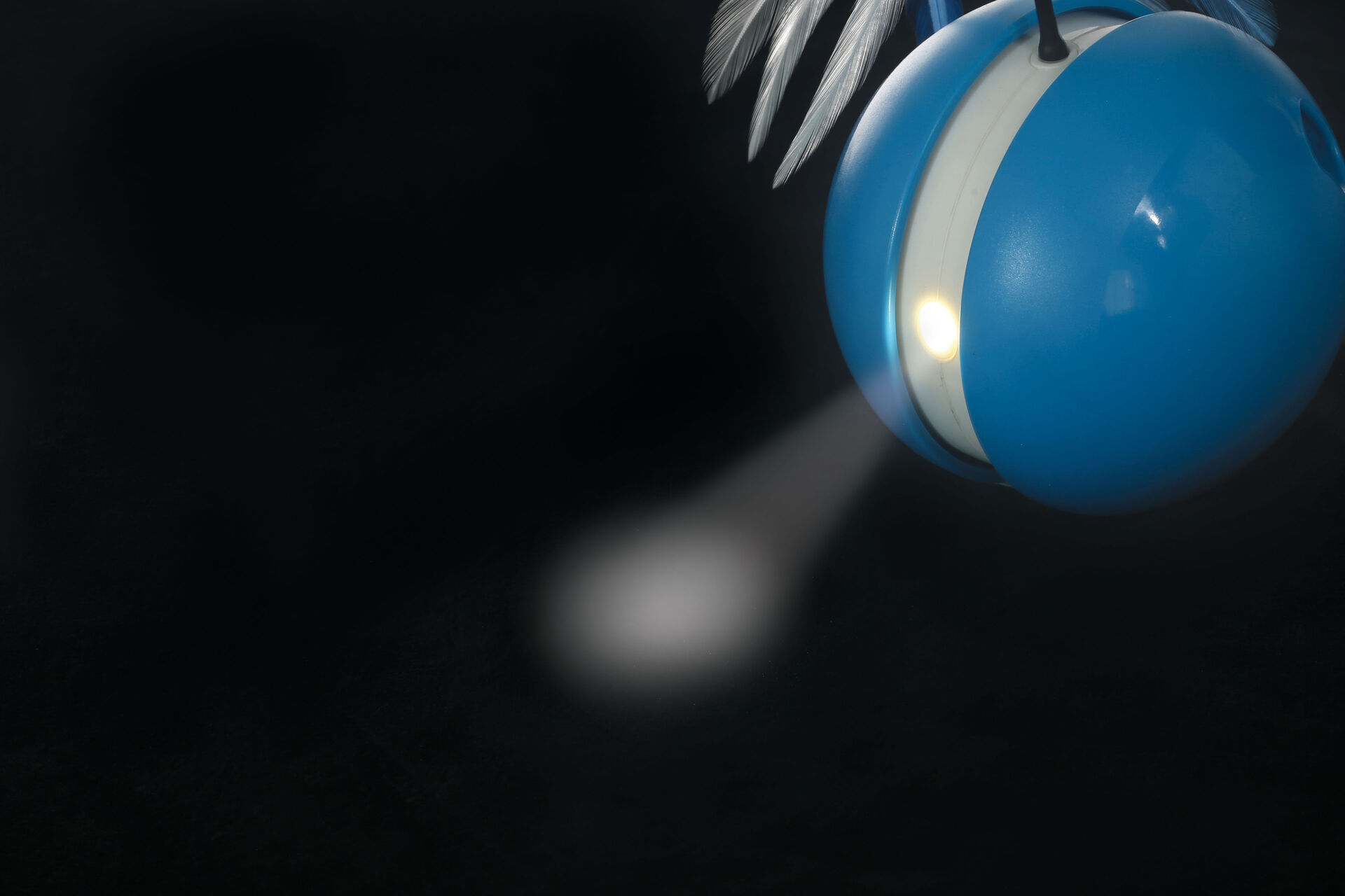 Moving  Treat Ball  Led WPE2011