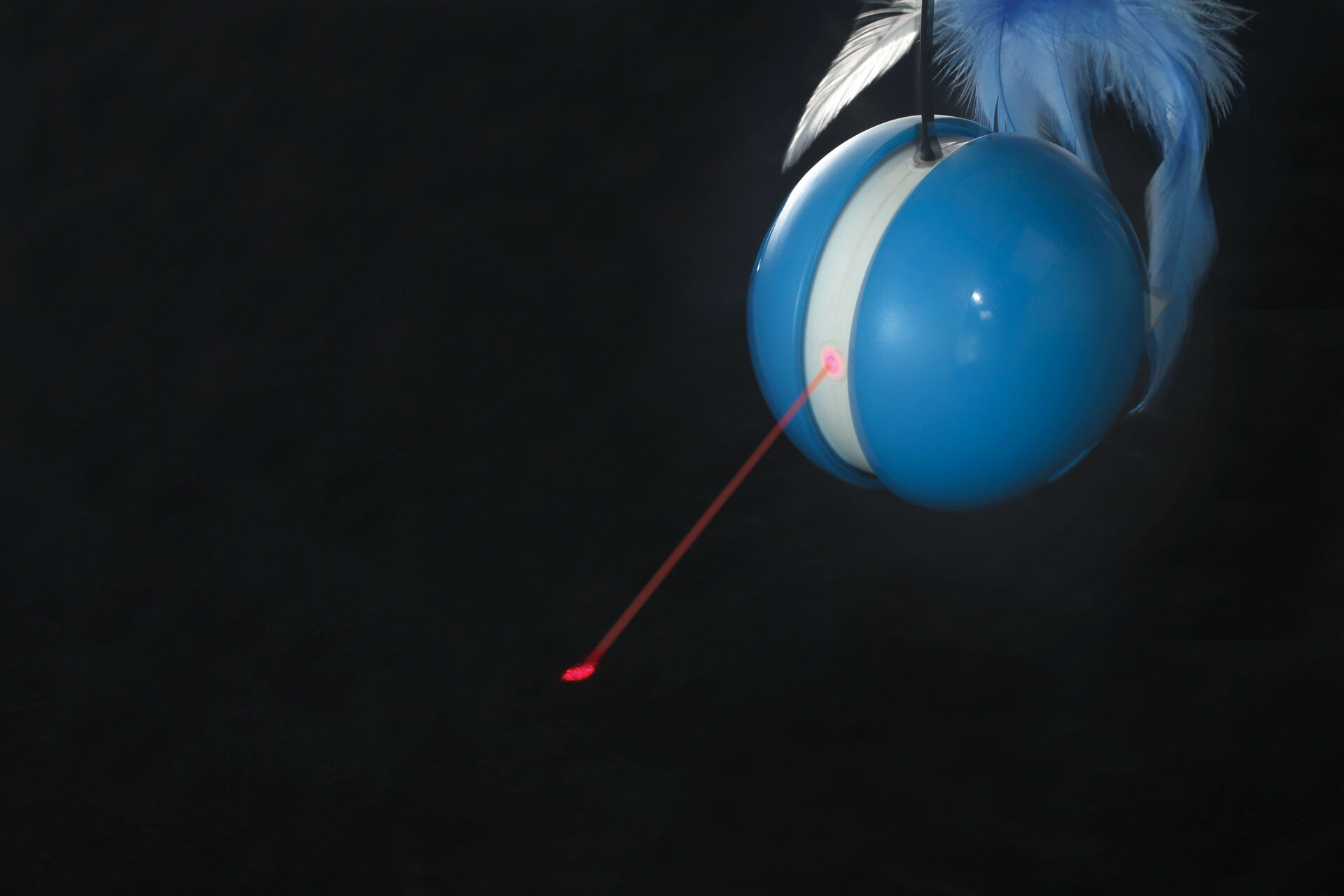 Moving  Treat Ball  with Laster WPE2011L